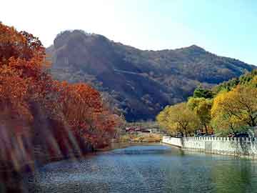 新澳天天开奖资料大全旅游团，站群营销